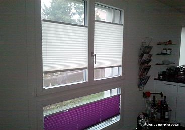 Plissee Bunt by nur-plissees.ch